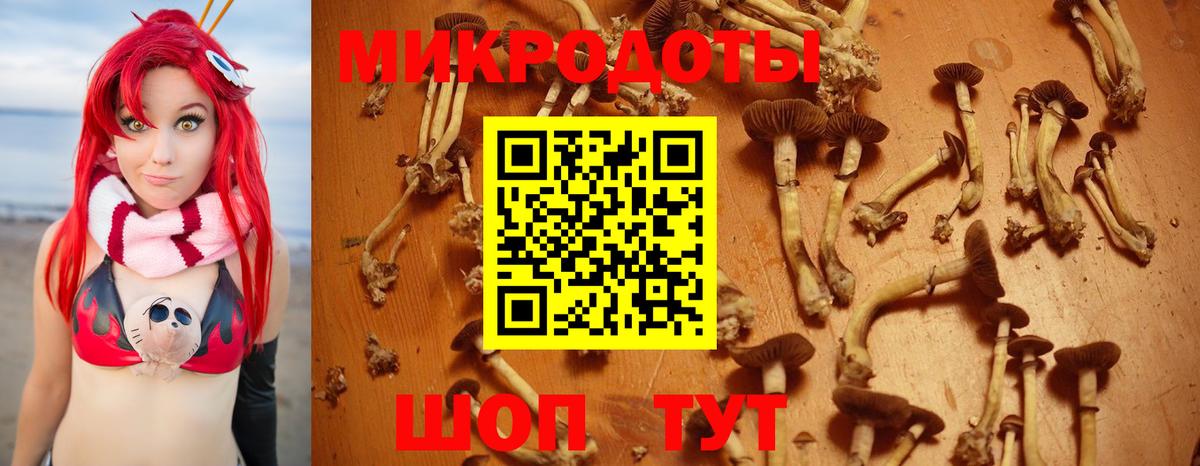 Псилоцибиновые грибы Magic Shrooms  хочу   Ростов-на-Дону  Вход с VPN 